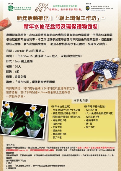 新年水仙花盆栽及環保禮物包裝